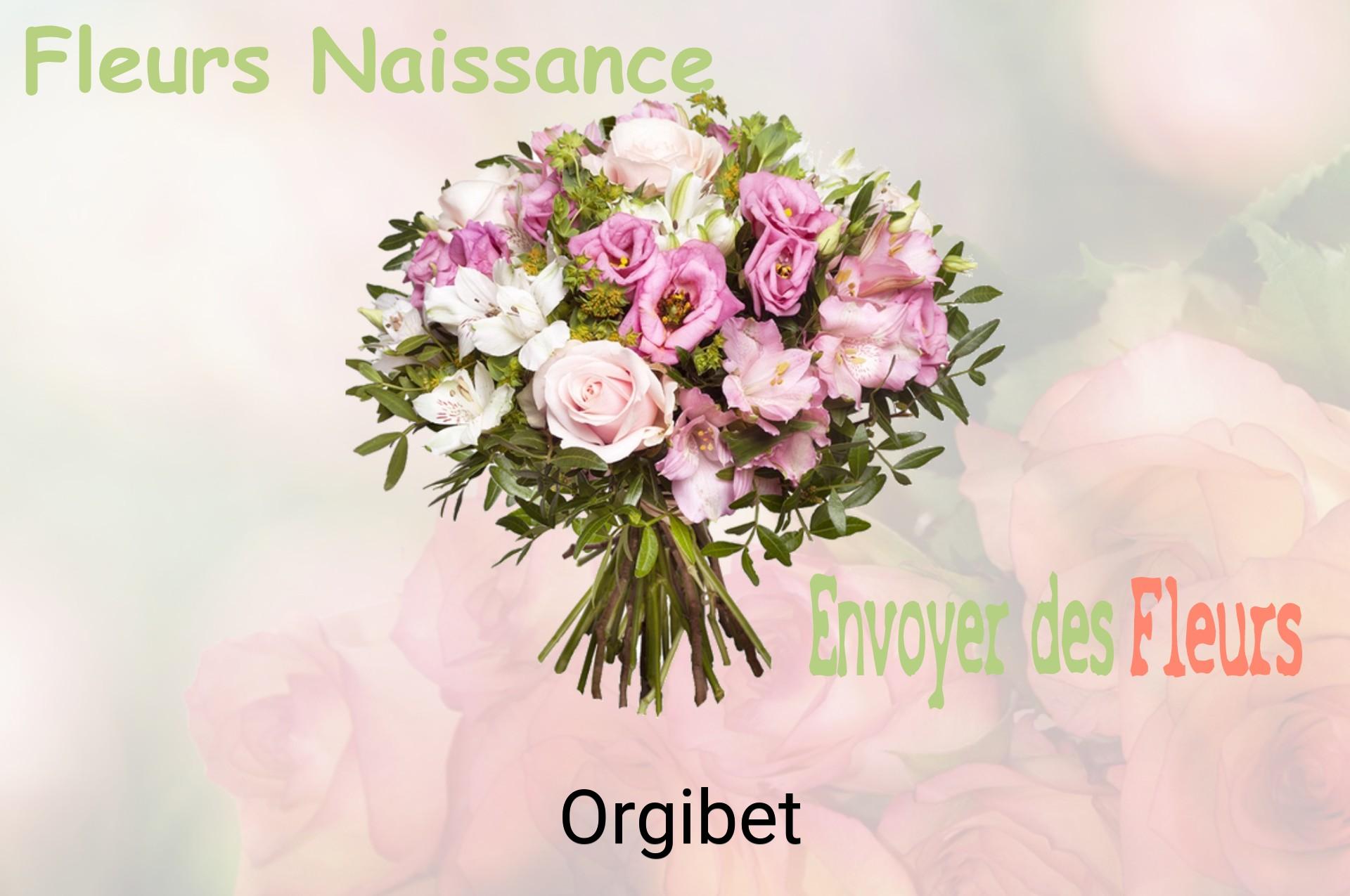 Bouquet de fleurs de naissance livré à Orgibet